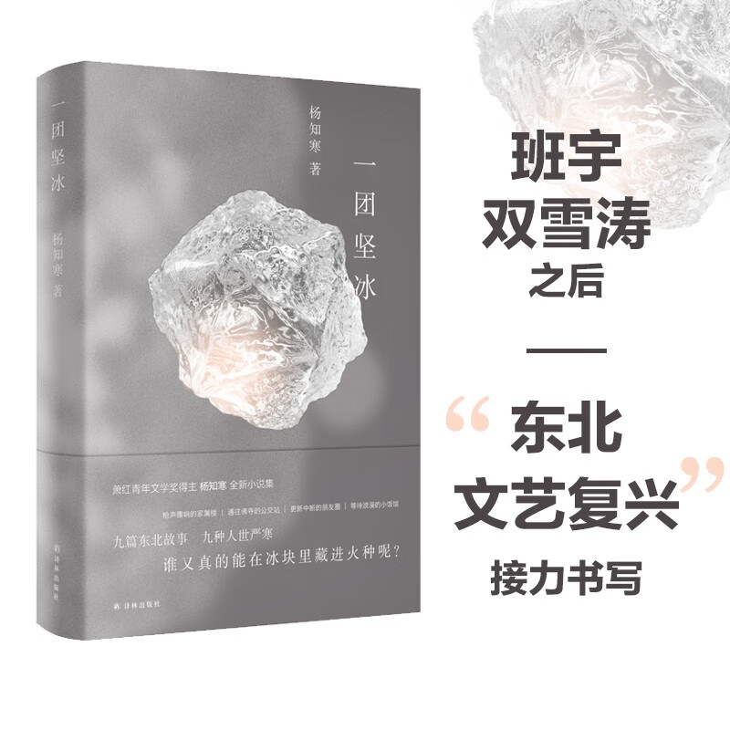 一团坚冰(萧红青年文学奖得主杨知寒全新小说集)使用感如何?