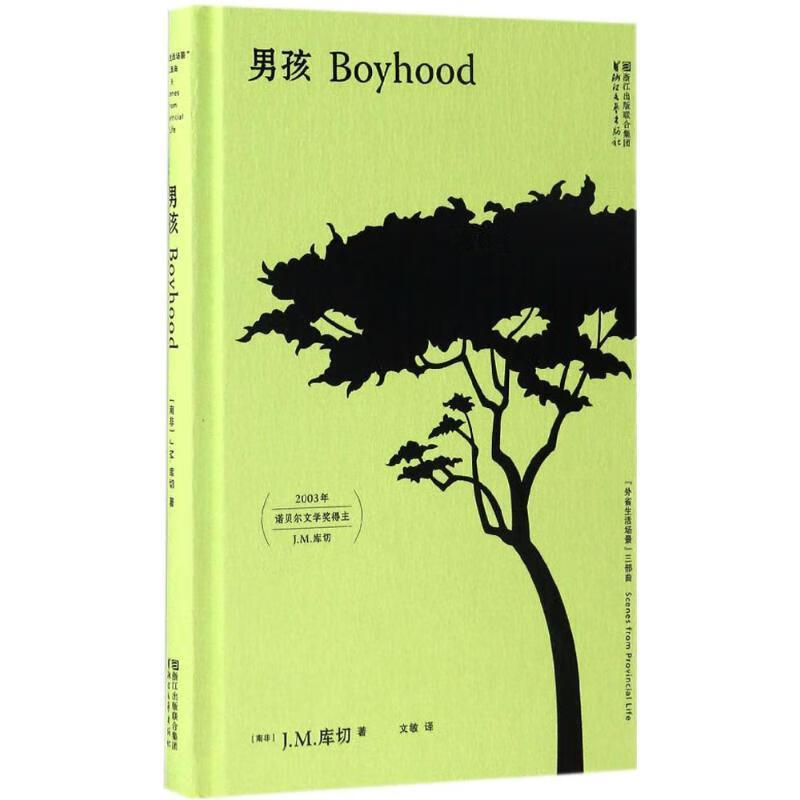 男孩(库切“外省生活场景”三部曲)