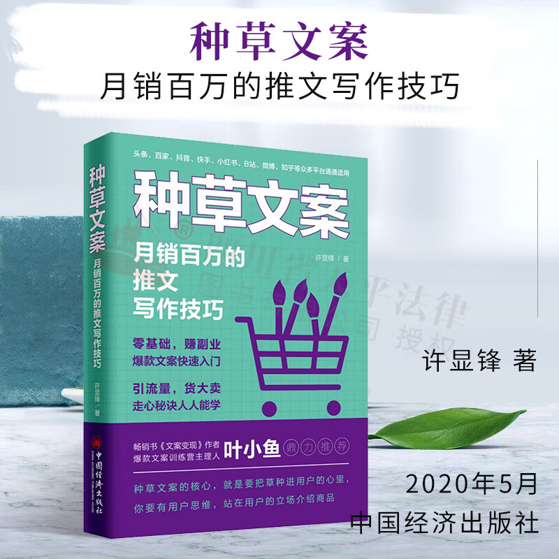 种草文案：月销百万的推文写作技巧|许显锋|中国经济出版社|9787513660372