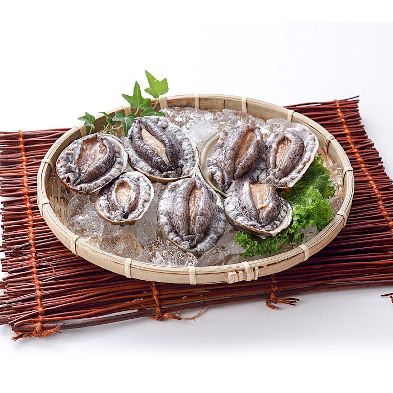 海泽鲜 京选新鲜活冻大鲍鱼9-11头/500g 生鲜贝类 深海九头鲍 海鲜水