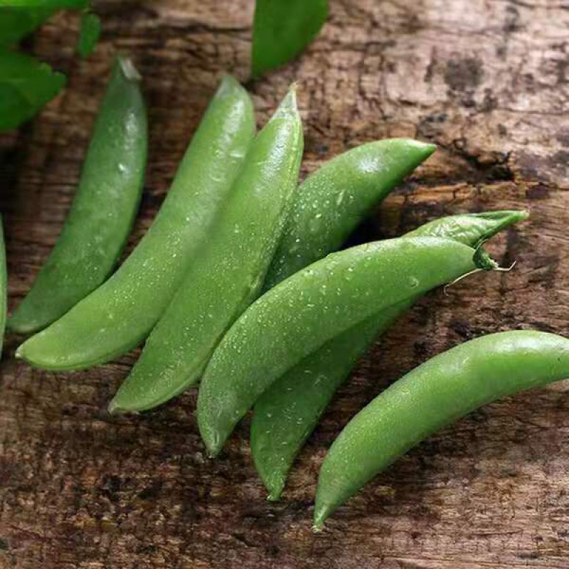 甜豆 相关京东优惠商品 价格图片品牌优惠券 虎窝购