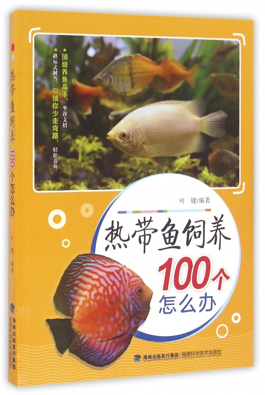 热带鱼饲养100个怎么办