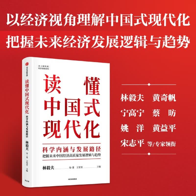 读懂中国式现代化(科学内涵与发展路径)/北大国发院经济洞察系列