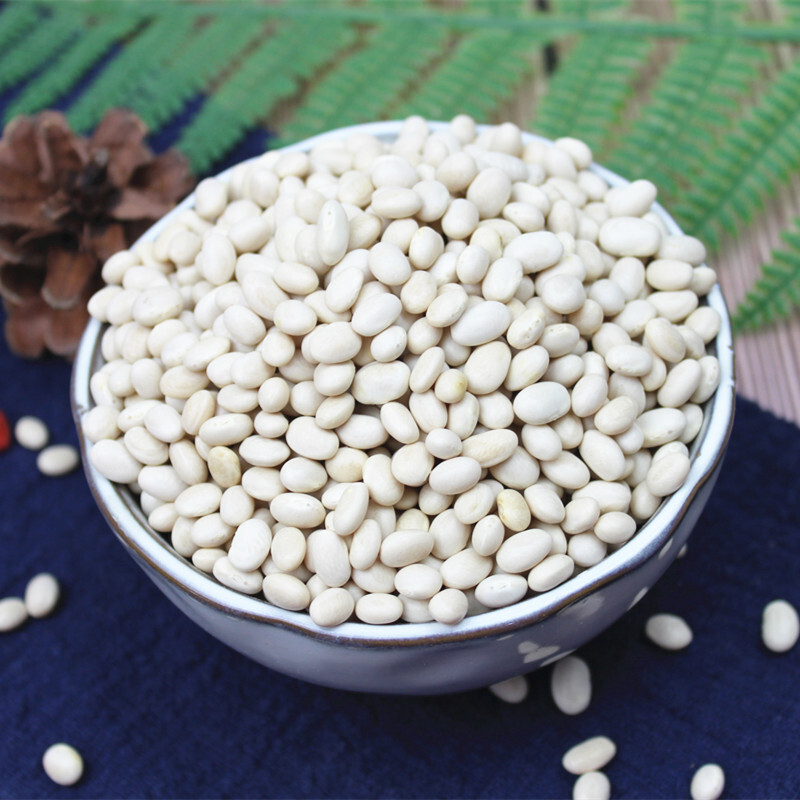 珍珠小白豆500g云南农家自种白芸豆白豆炖菜煲汤豆类粗粮五谷杂粮