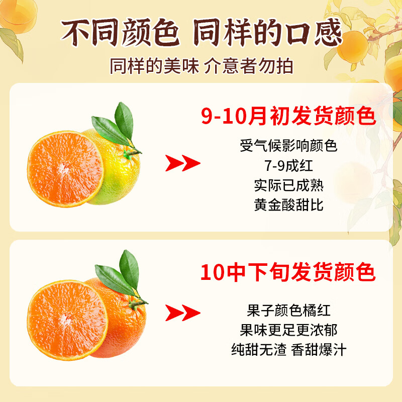 桦萱四川爱媛38号果冻橙【发出多地隔日达】眉山甜柑橘子水果礼盒 5斤A+级大果【65-70mm】净4.5斤