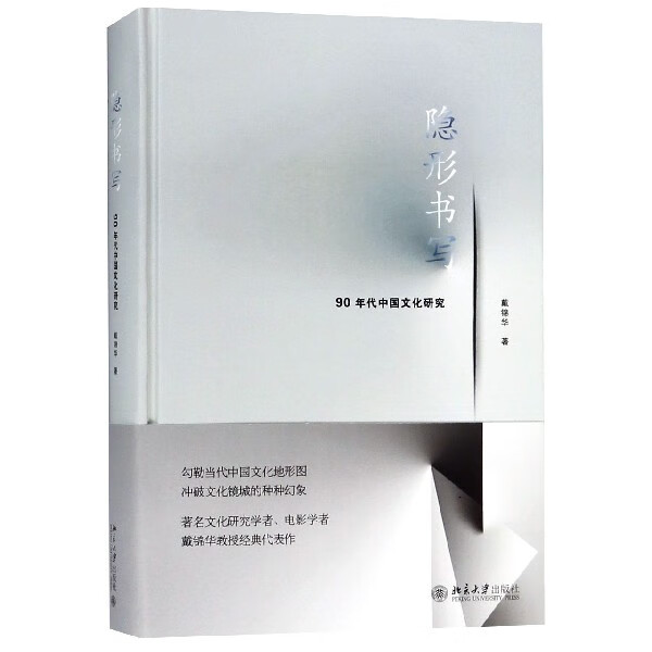 隐形书写(90年代中国文化研究)(精)