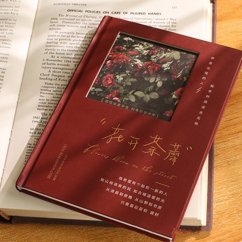 好看的笔记本子复古日记本手账本a5笔记本高颜值学生用品新年礼物