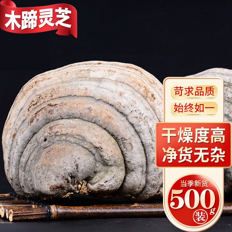 吉雪 灵芝长白山马蹄灵芝木蹄灵芝东北灵芝可切片 木蹄灵芝500g