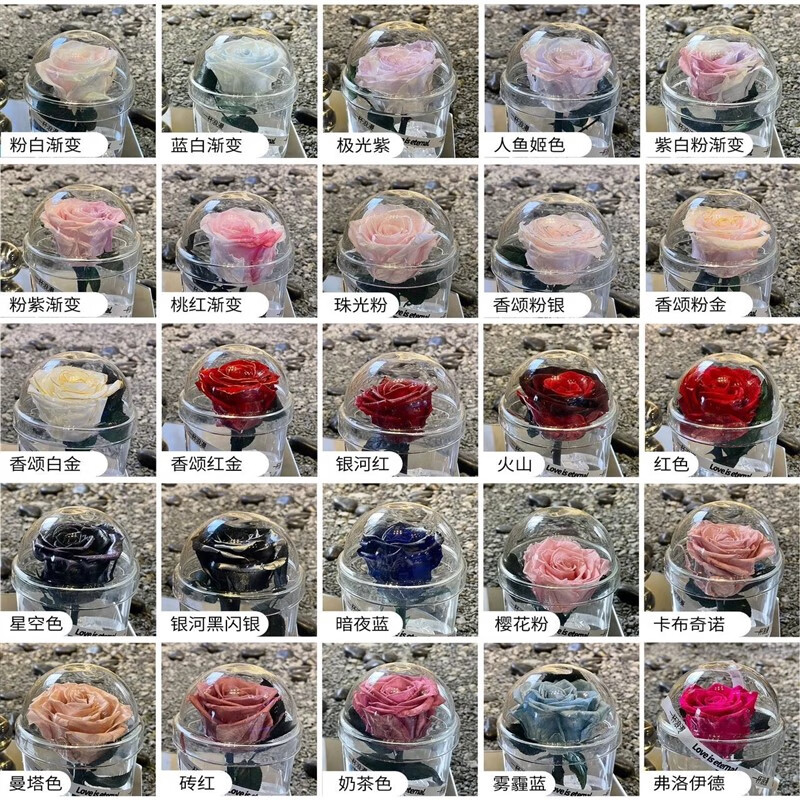 玫瑰花一杯浪漫冰封玫瑰永生花礼品生日闺蜜伴手母女神教师 颜色备注