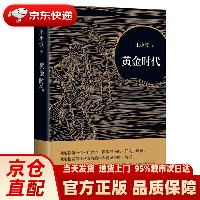 王小波:黄金时代(新版)王小波成名代表作,当代文学经典