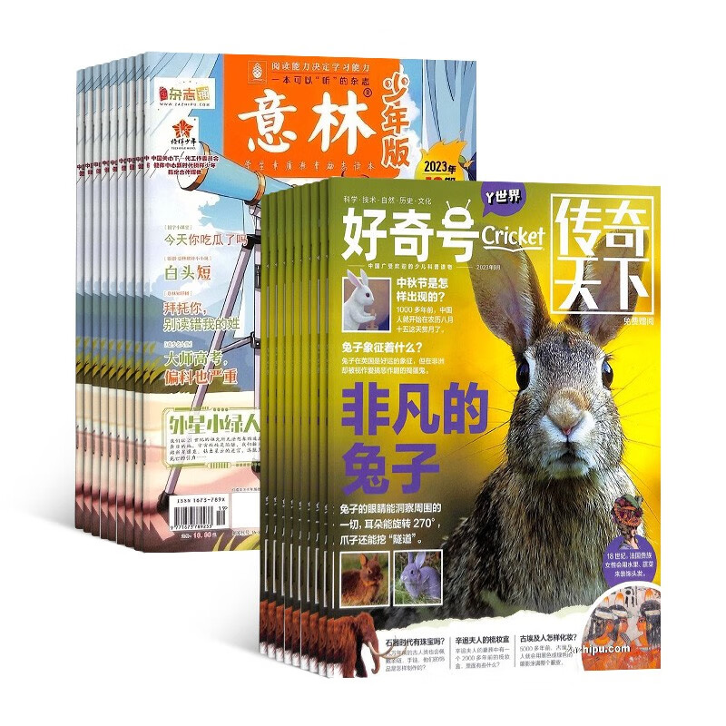 2024年1月起订 好奇号杂志铺组合自选 共12个月订阅 万物/博物/问天少年/商界少年/意林少年版/历史喵/博物/环球少年地理/少年新知 少儿课外阅读小学生科普 好奇号+意林少年版 24年1月起订高性价比高么?