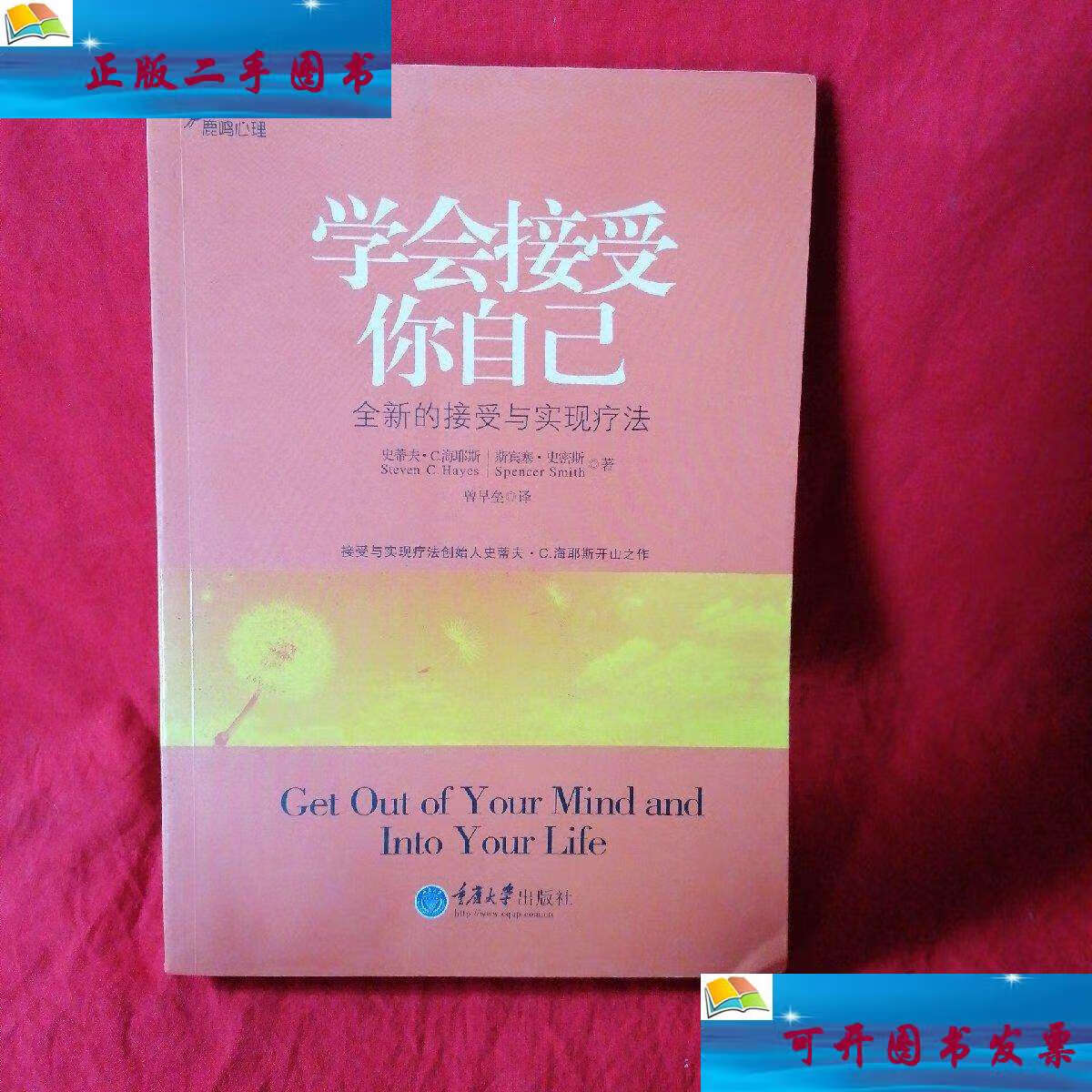 【二手9成新】学会接受你自己:全新的接受与实现疗法 /海耶斯 重庆