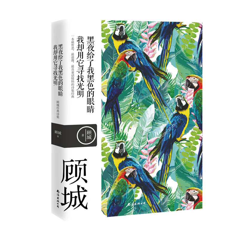 黑夜给了我黑色的眼睛，我却用它寻找光明：顾城诗集