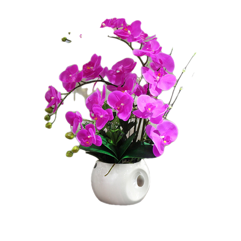 泰錦瑞高檔仿真花3d手感蝴蝶蘭花套裝客廳前臺餐桌擺設花電視柜玄關(guān)假花 蝴蝶蘭紫紅色 蘋(píng)果盆-款