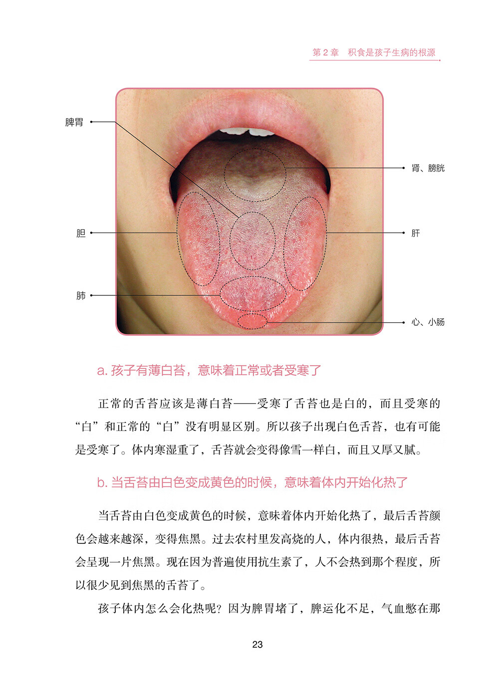正版 罗大伦儿童舌诊 罗大伦的书籍 伸伸舌头 家长无忧 舌诊辩证图谱