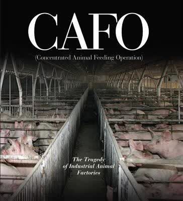 预订Cafo: The Tragedy of Industrial Animal Factories