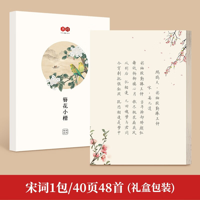 簪花小楷女生练字帖成年人漂亮字体生日礼物小楷硬笔国风纳兰性德