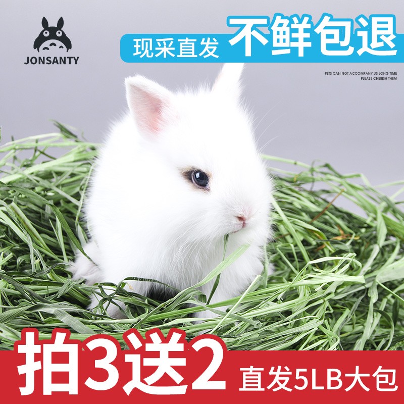 兔子食品历史价格查询软件|兔子食品价格走势图