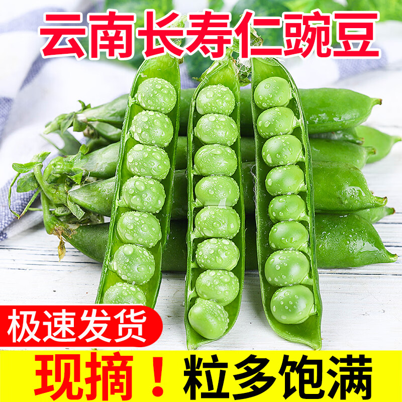 新鲜豌豆 农家种植豌豆荚现摘发货甜豌豆宝宝辅食老甜豆 青皮甜脆豌豆 5斤装