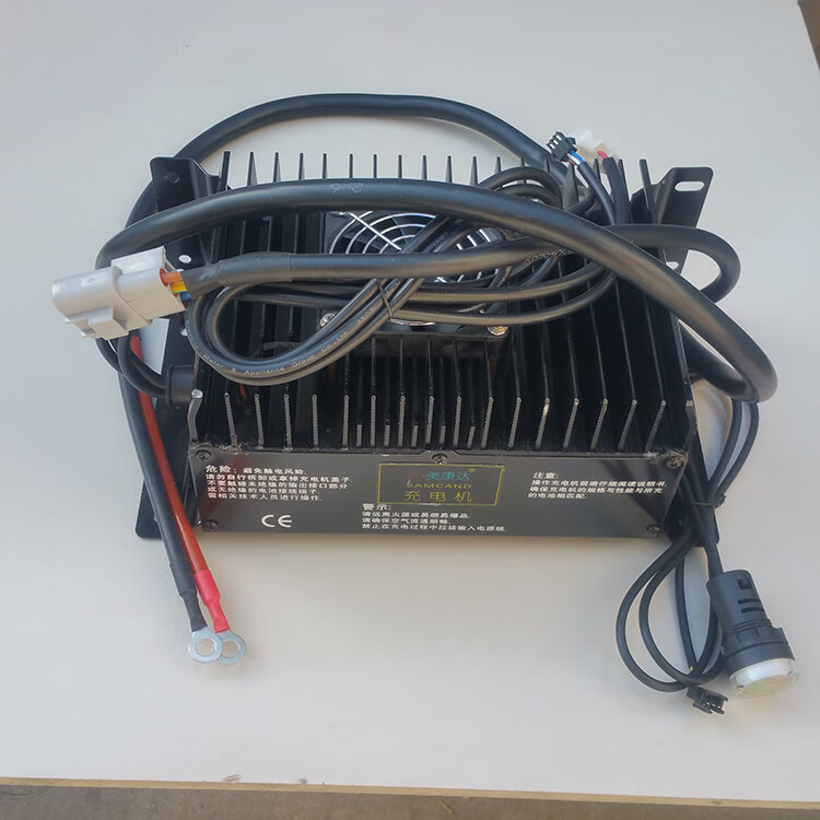 天南兄弟(tnbrothers)时风电动gd04a gd04b充电器 48v60v铅酸加液免