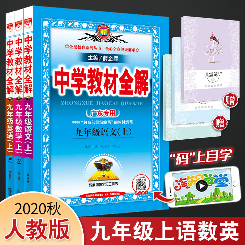 正规套装3本中学教材全解九年级语文数学英