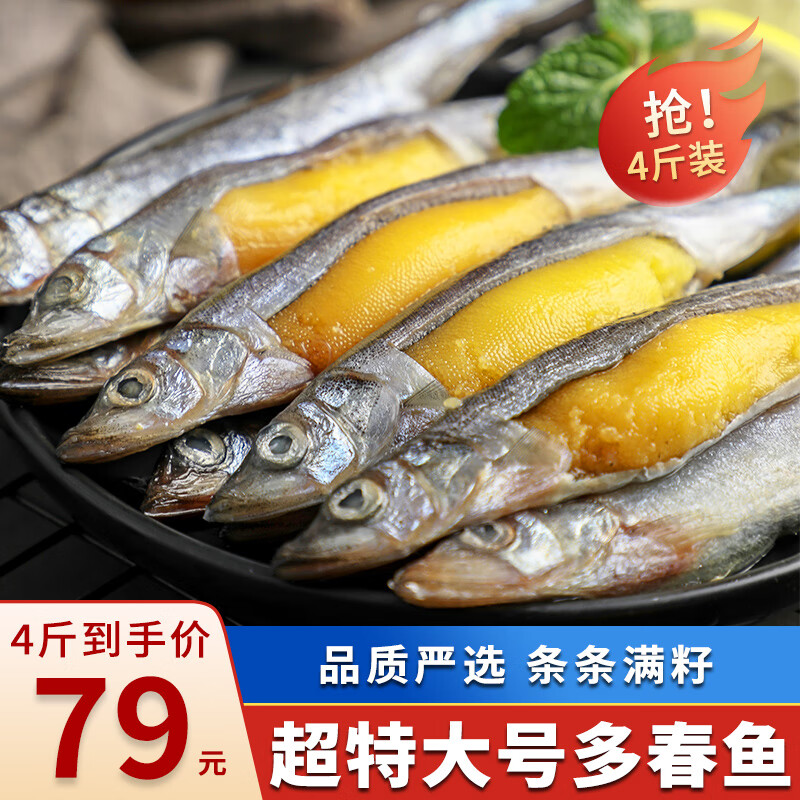 海宏盈 满籽多春鱼 特大多籽鱼鱼子海鲜鱼类生鲜烧烤食材 4斤装特大规格15-17厘米