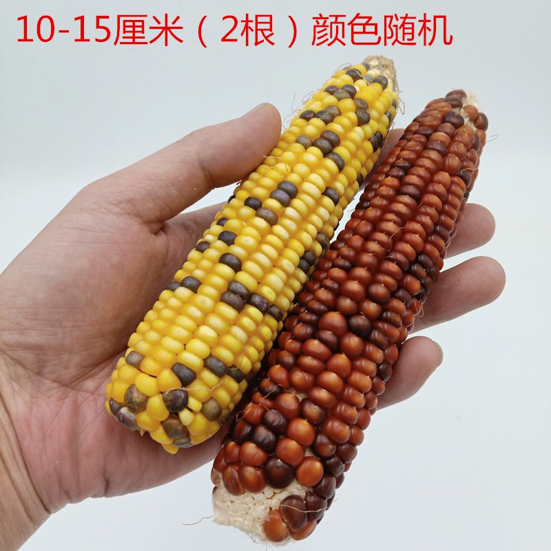 使用后评价咪贝萌仓鼠磨牙棒质量怎么样，告知二周感受分享