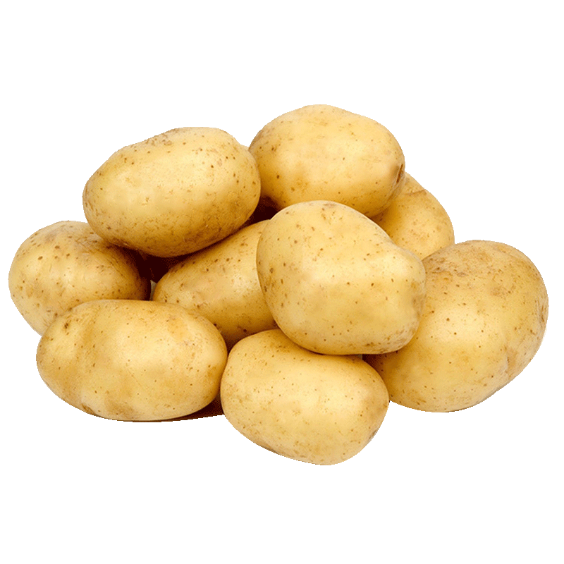 �ʺ��꡾����ֱ�����л��������� �л��߲�ŷ����֤����ũ����ũ�� �л�����4��