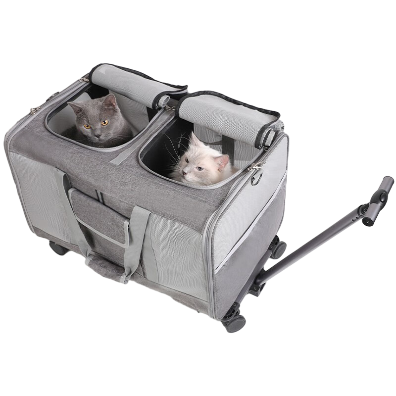 COCSè������ʽ������������۵�����è�����������Я����������б�� �Ӵ��˫��/���ɲ�ж 35���� 239Ԫ