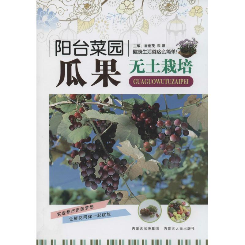瓜果无土栽培