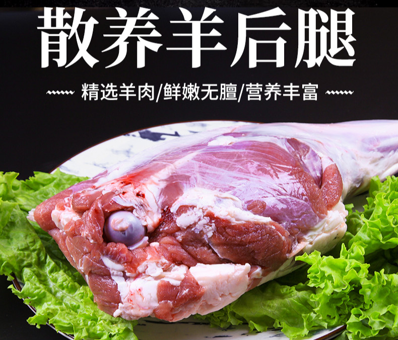 棠鲜生内蒙古新鲜羔羊后腿羊肉现杀生羊肉羊后腿肉3.5斤装 3.5斤装