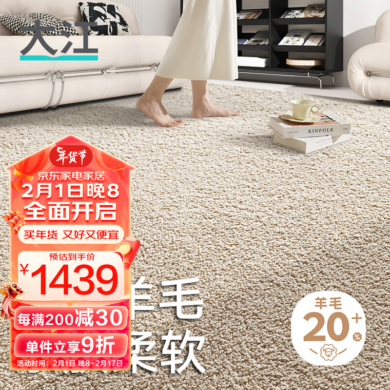大江地毯客厅 轻奢高级感20%羊毛地毯卧室大面积免洗300x200cm