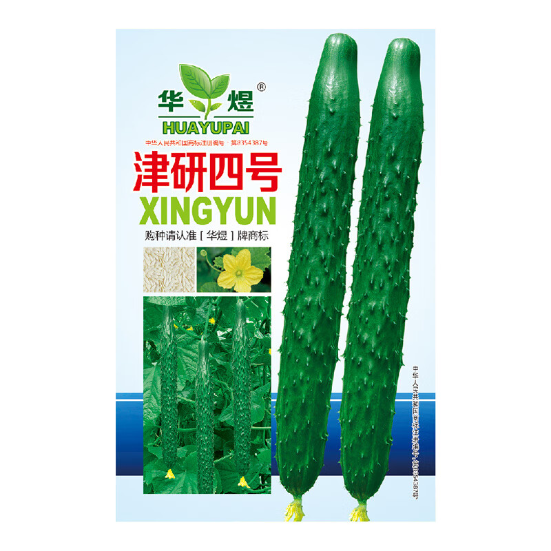 玥缪 (买2件以上送肥料) 津妍四号黄瓜种子 黄瓜种子菜种孑耐热寒四