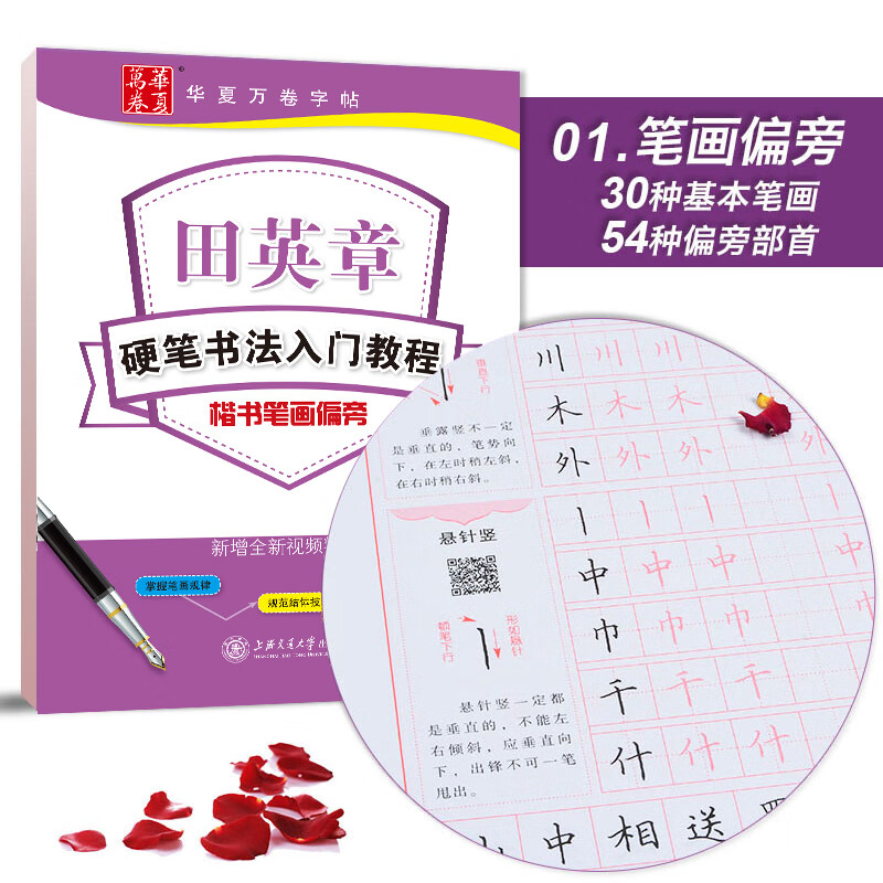 田英章硬笔书法入门教程钢笔字帖 扫码看视