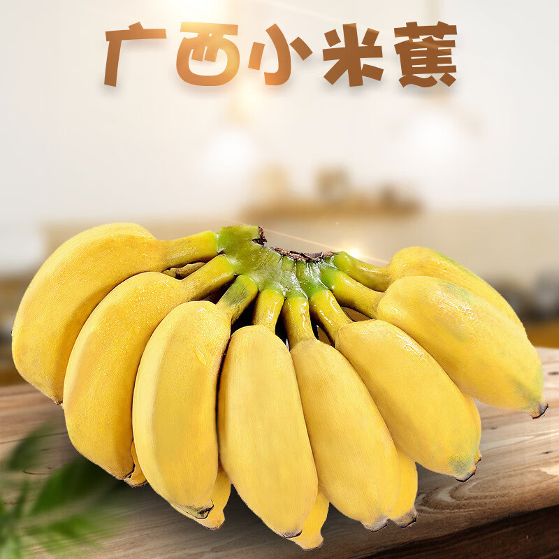 图石果记广西小米蕉 3斤(28-42根)甜糯小香蕉 过节礼品水果YQ09003