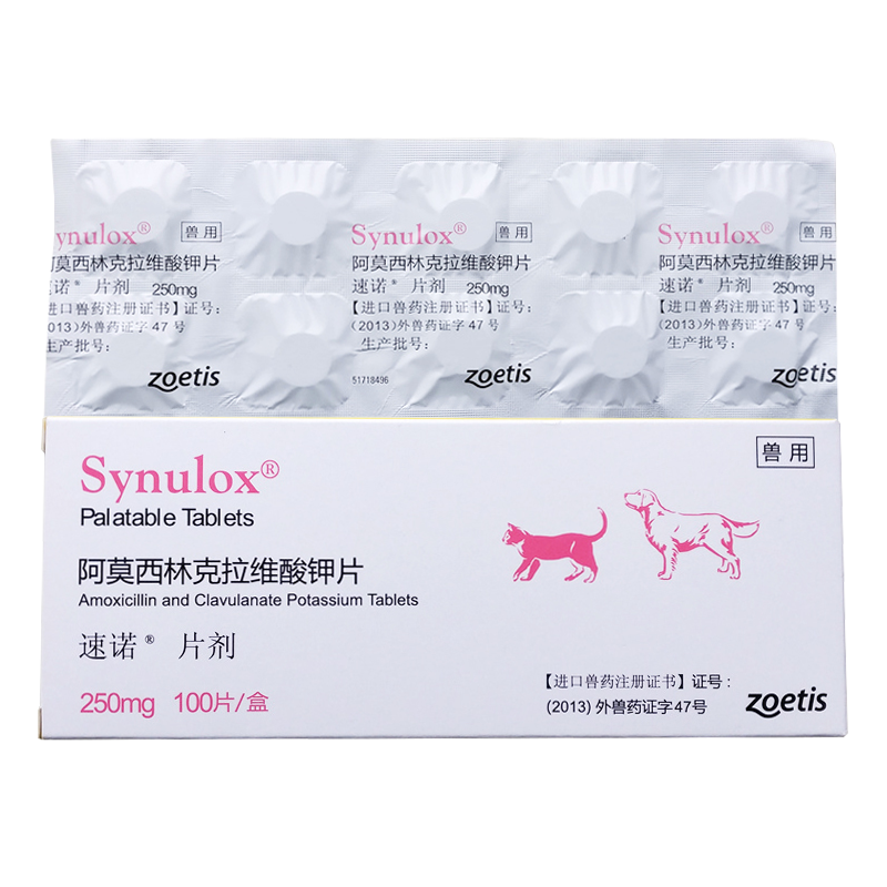 速诺片犬猫阿莫西林克拉维酸钾 宠物狗狗消炎药猫咪感冒打喷嚏猫鼻支