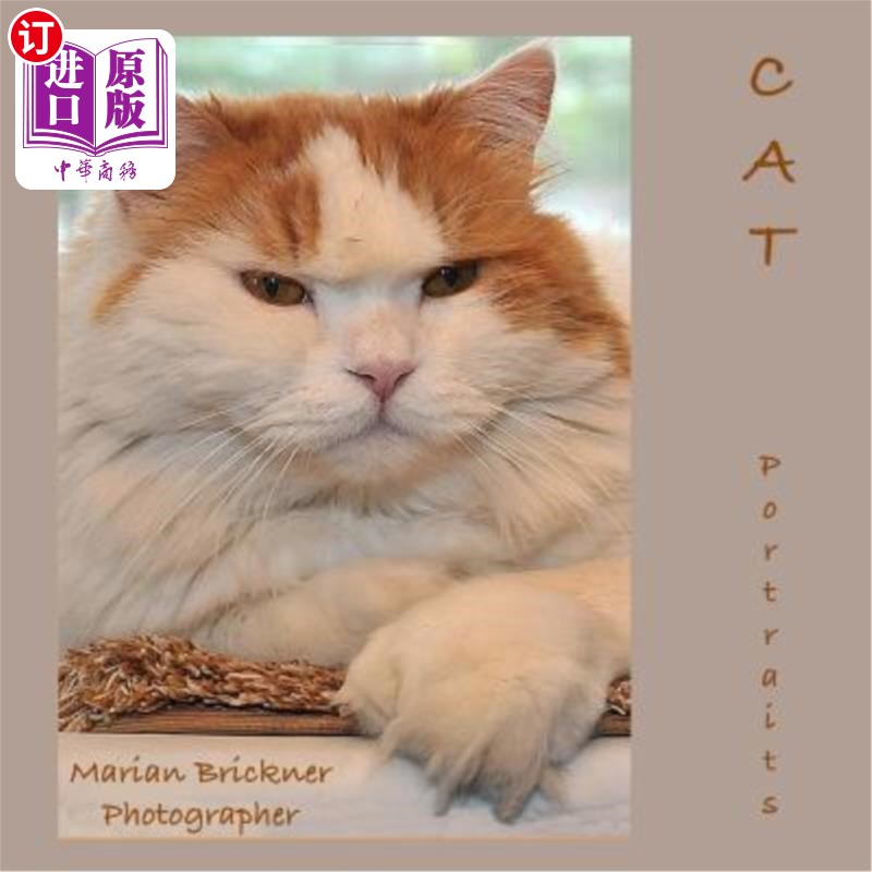 海外直订cat portraits 猫的肖像