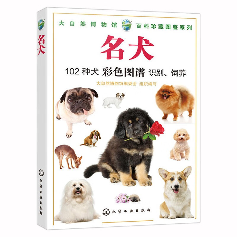 名犬102种犬彩色图谱识别饲养养犬赏犬世界名犬图鉴狗狗品种资料大全