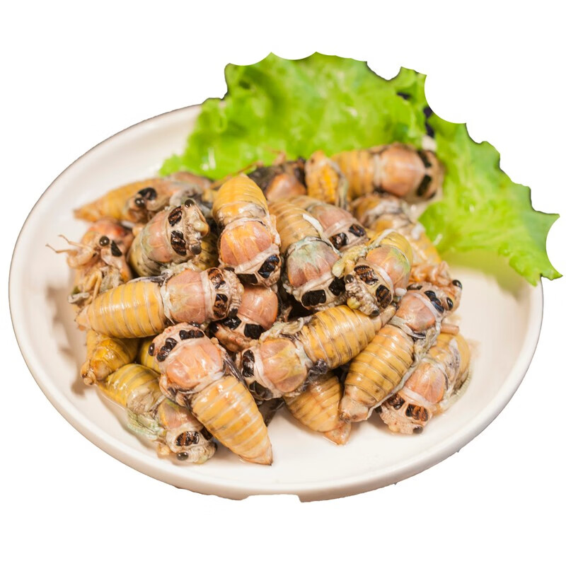 海味先生 知了猴 生鲜 金蝉去壳 白蝉 500g 蜕变去壳白蝉1斤