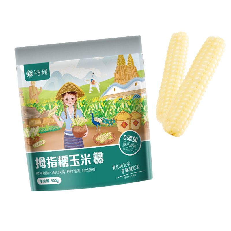 ̰סĴָ1(6-12)ͯŴװ ʹ