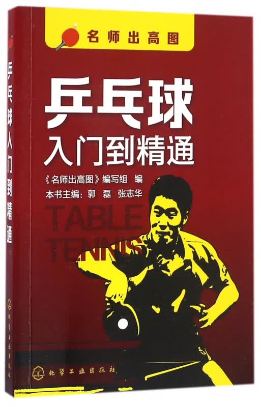 乒乓球入门到精通/名师出高图