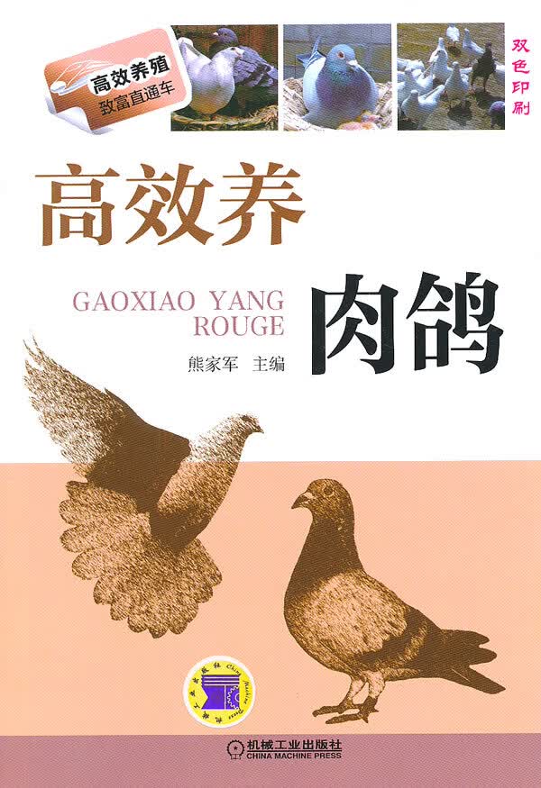 现货正版:高效养肉鸽(高效养殖致富直通车) 熊家军 9787111460268