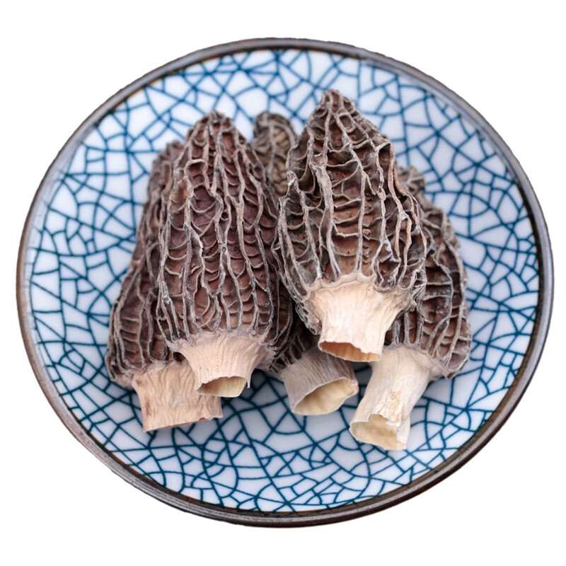 储褚云南香格里拉羊肚菌 山珍 菌菇 家宴美食 煲汤材料 食用菌 50g