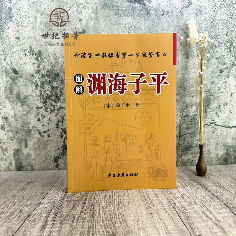 图解渊海子平 (宋)徐子平著 中医古籍出版社493页