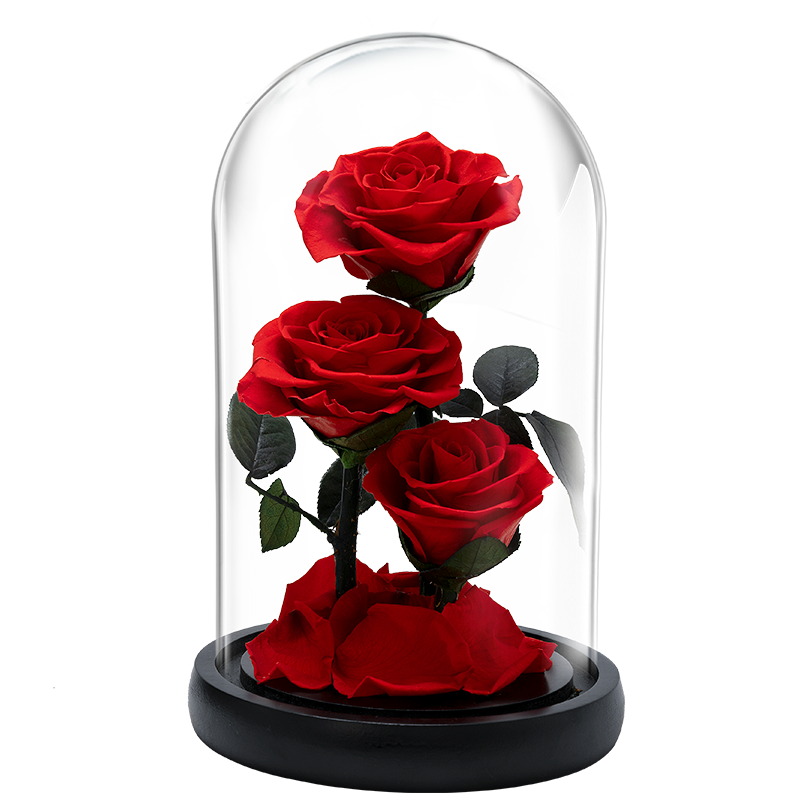 JoyFlowerõ廨һͯŮҵŮŸ߼217.15Ԫ