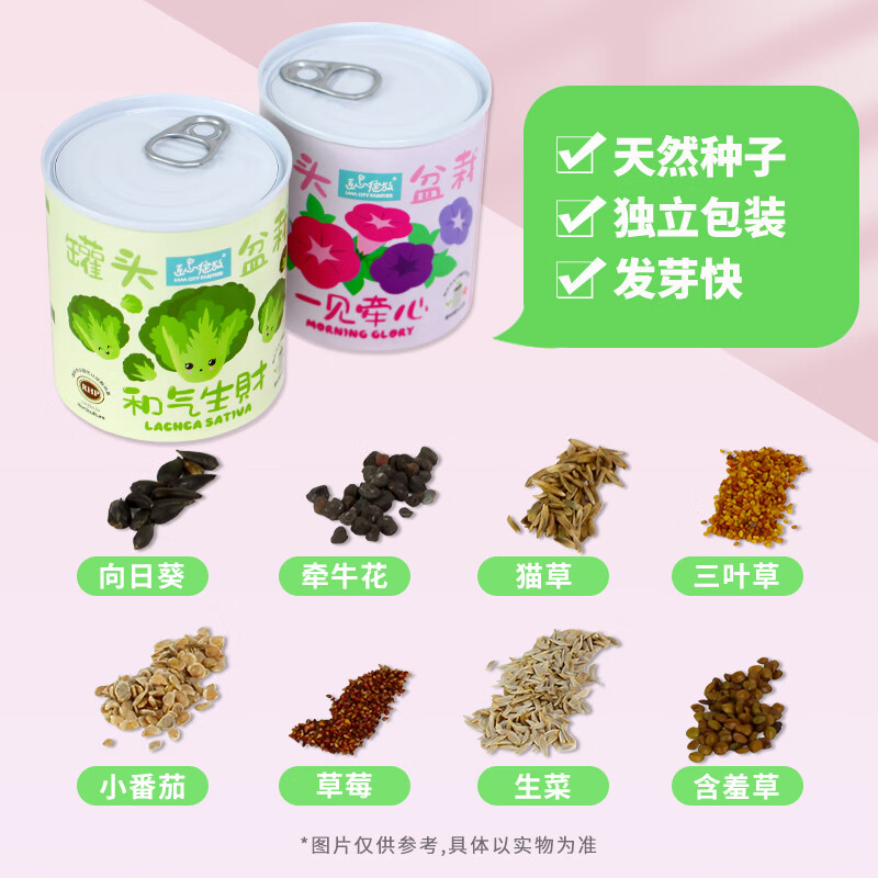 IAM City Farmer番茄罐头盆栽儿童种植小盆栽幼儿园植物绿植科学试验观察种植作业 【和气生财】生菜种植罐头 套装