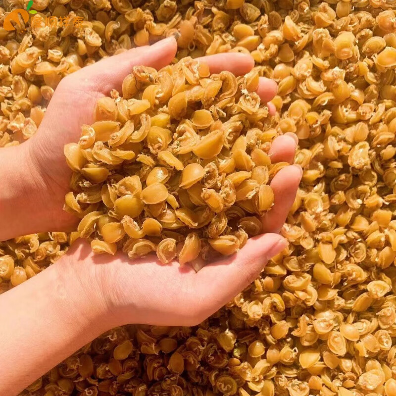 鮑魚干貨 特級小鮑魚仔海鮮干貨煲湯煲粥佛跳墻食材60只 買101送98共200只【小鮑】 18斤鮑魚曬一斤鮑魚干