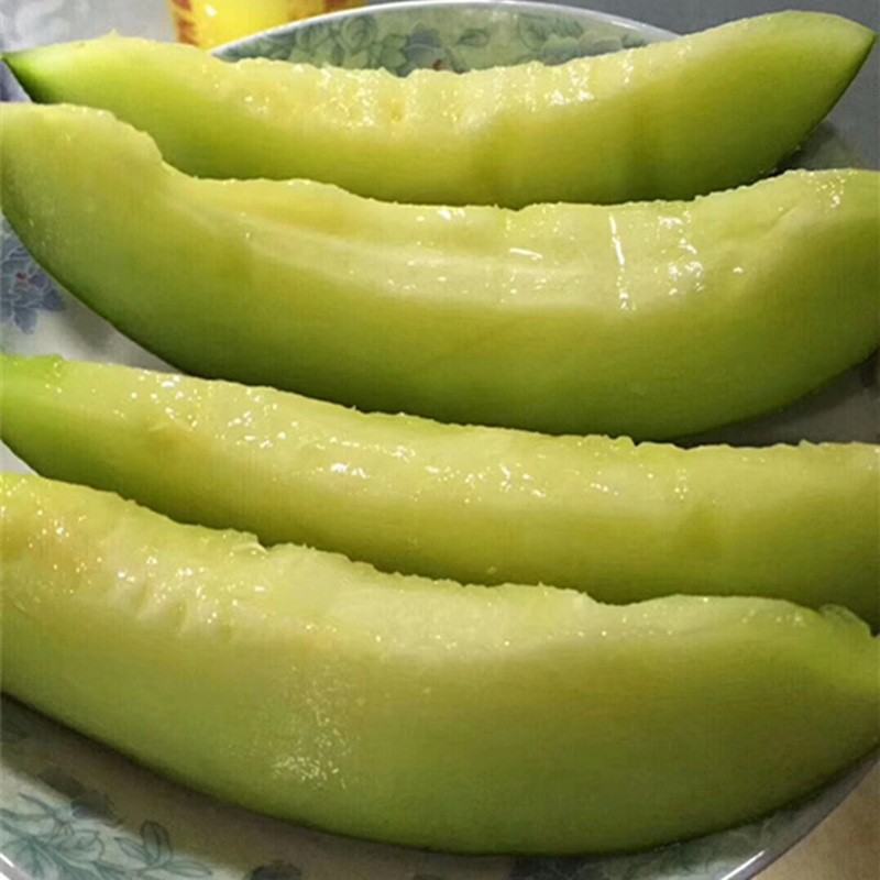 白雪蜜口口蜜瓜新鲜水果哈蜜瓜 1个装