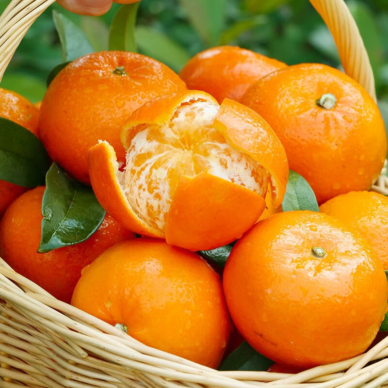 果迎鲜沃柑 5斤装 新鲜水果 广西沃柑 橘子柑橘 5斤属于什么档次？