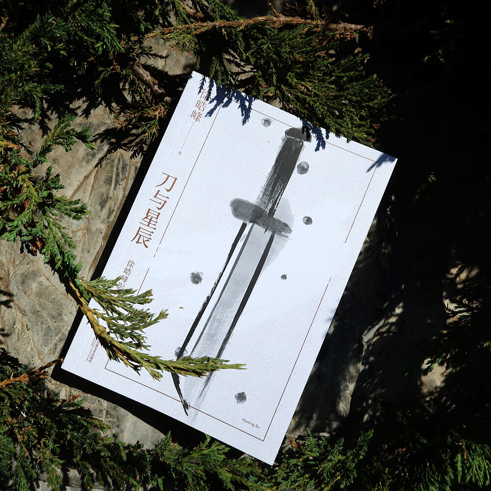 刀与星辰徐浩峰9787559456267文学/作品集江苏文艺出版社